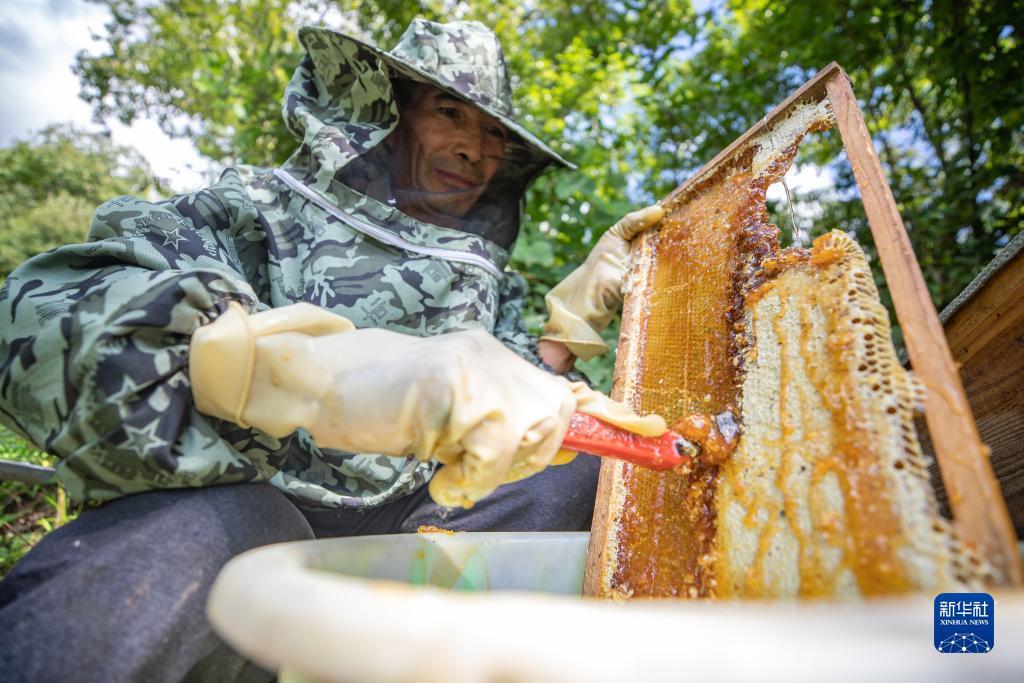 诚博国际网投